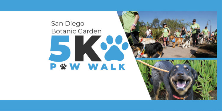 Save the Date / 5K Paw Walk