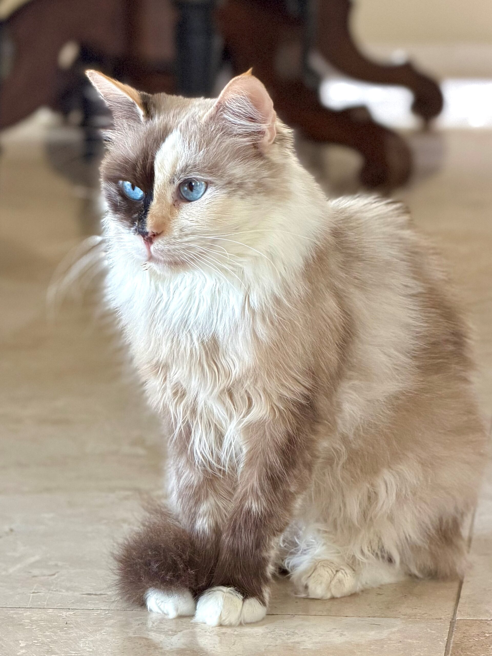 Norma Jean