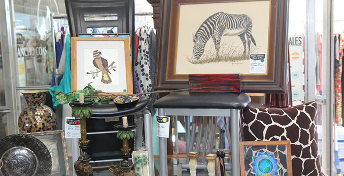 Thrift Shop Rancho Coastal Humane Society