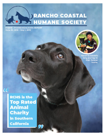 What Type are You? Or are You a Little Bit of Both?