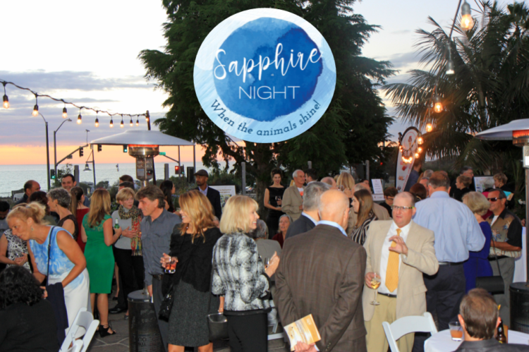 You Really Don’t Want to Miss the 2019 Celebration of Second Chances