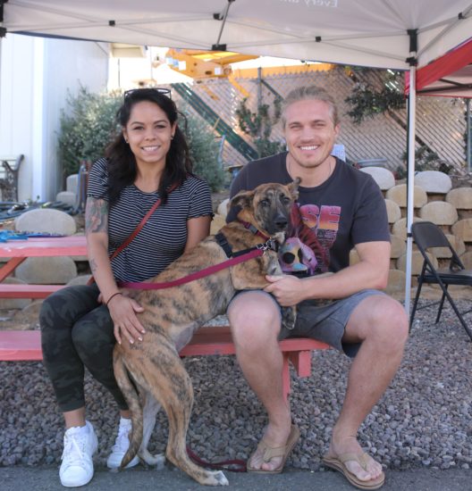 We Were So Busy We Almost Needed a Doggone Revolving Door!