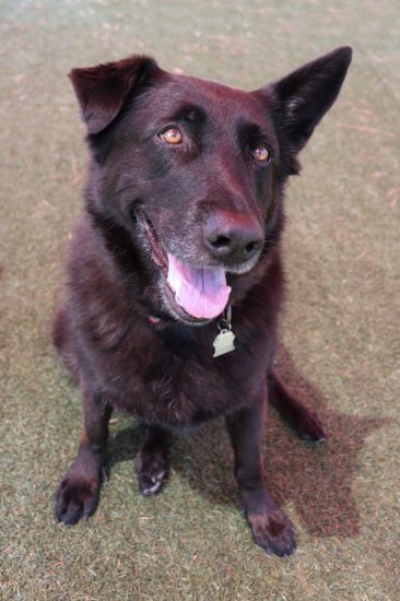 I Feel Like an Empty Nester