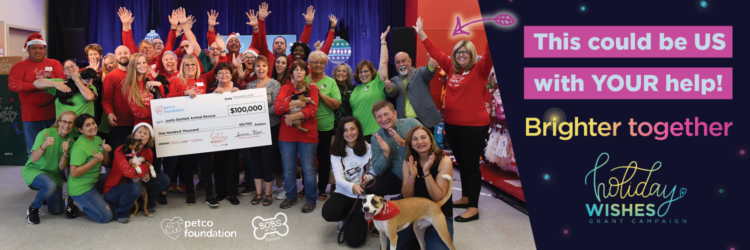 It’s Never Too Early to Start Talking About Holiday Wishes. Help Us Win $100k from the Petco Foundation! 