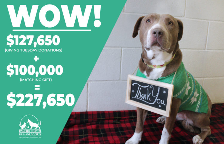 Thank you for the BEST #GivingTuesday Ever!