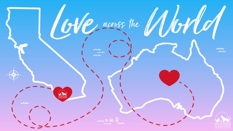 President’s Letter – January 2020