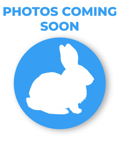 Harecules