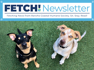 Read the latest edition of FETCH!