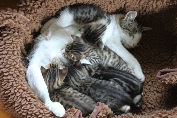 Things To Look Forward To