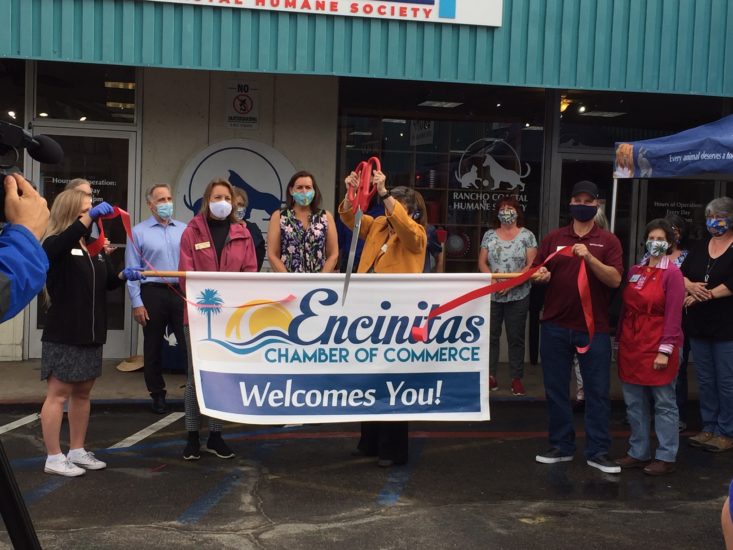 What’s Up at The Thrift Shop?