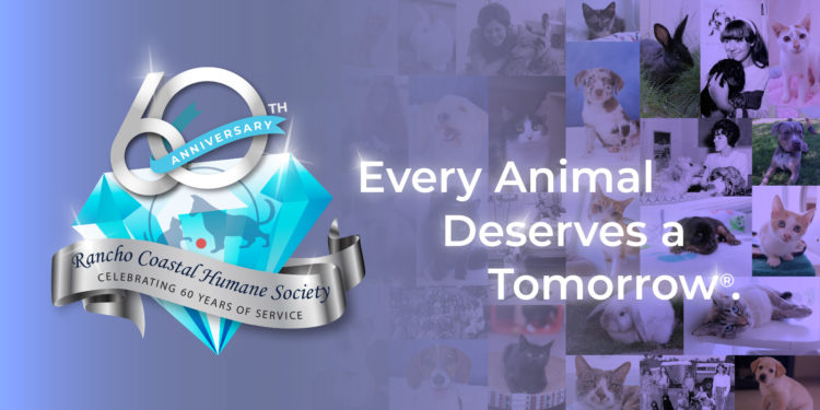 Our 60th Anniversary Matching Challenge – 60 for 60!