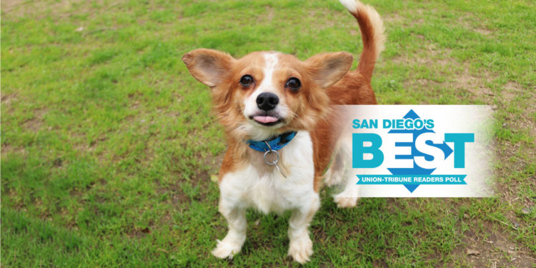 What Does it Mean to be “The Best?”