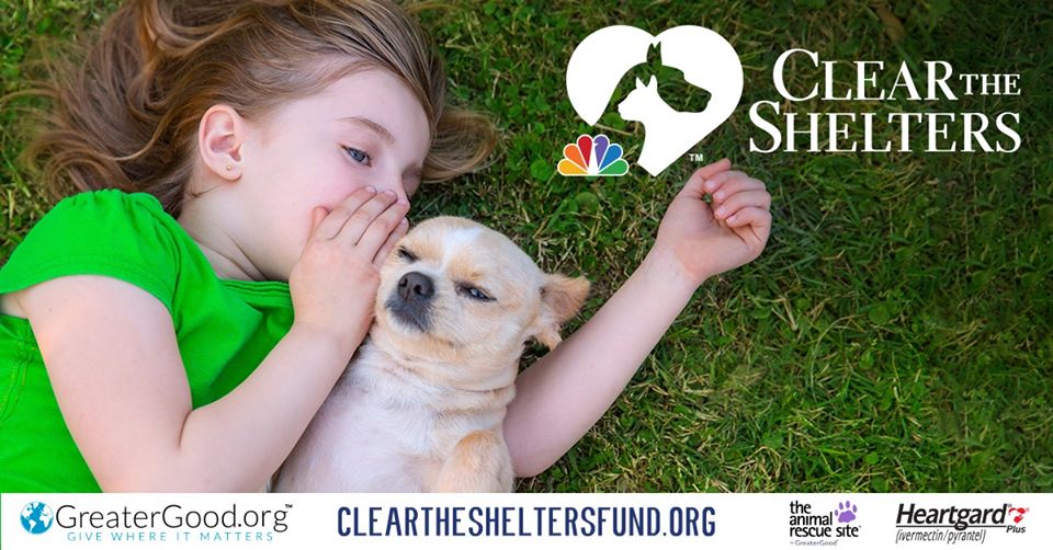 Did You Know? Big Brother is Back and So is Clear the Shelters