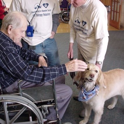PET ASSISTED THERAPY