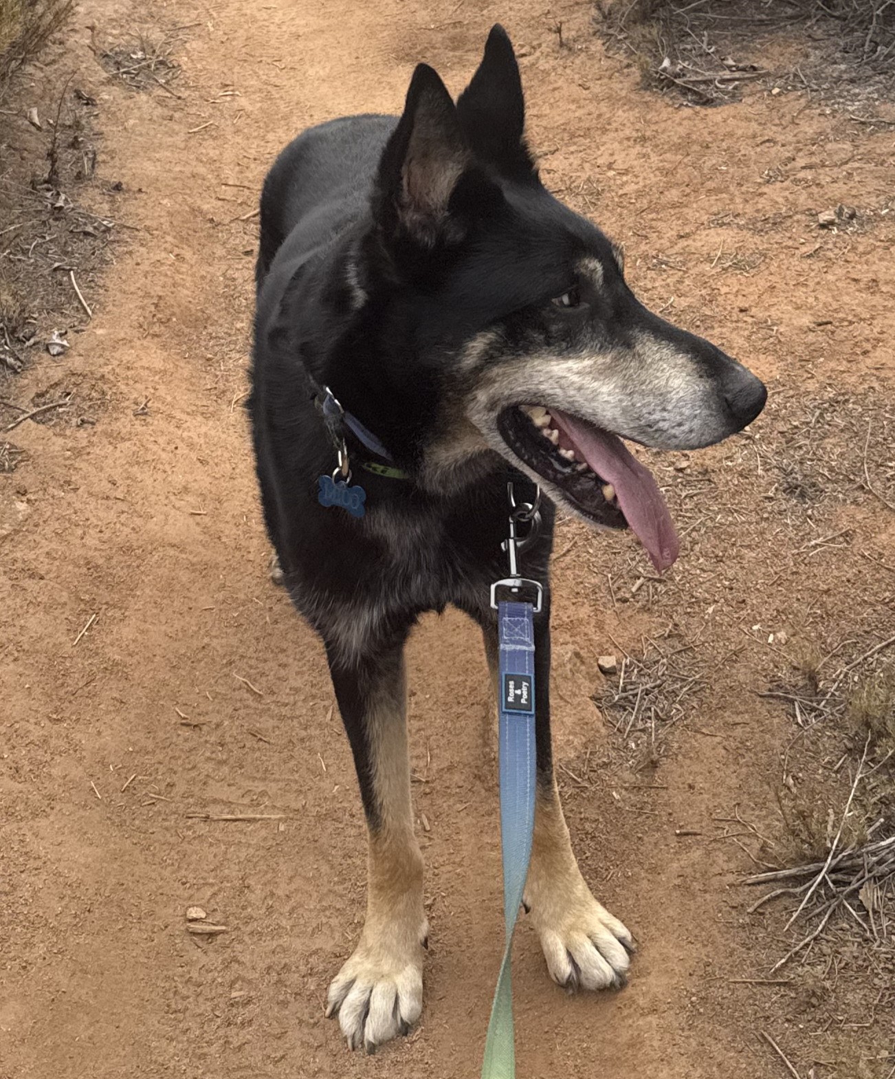 Milo