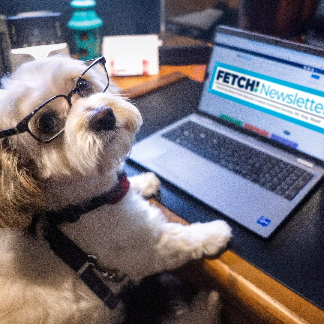 Read the latest edition of FETCH!