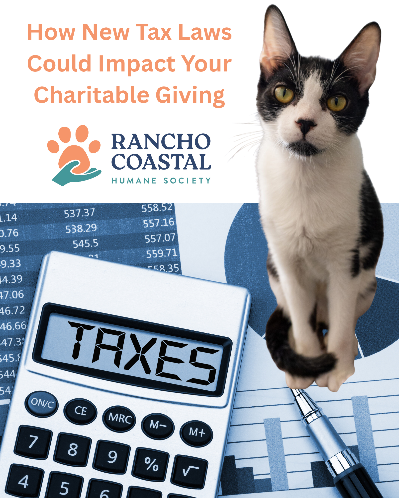 How New Tax Laws Could Impact Your Charitable Giving