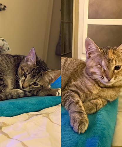 Outlaw & Oakley (Bonded Pair)