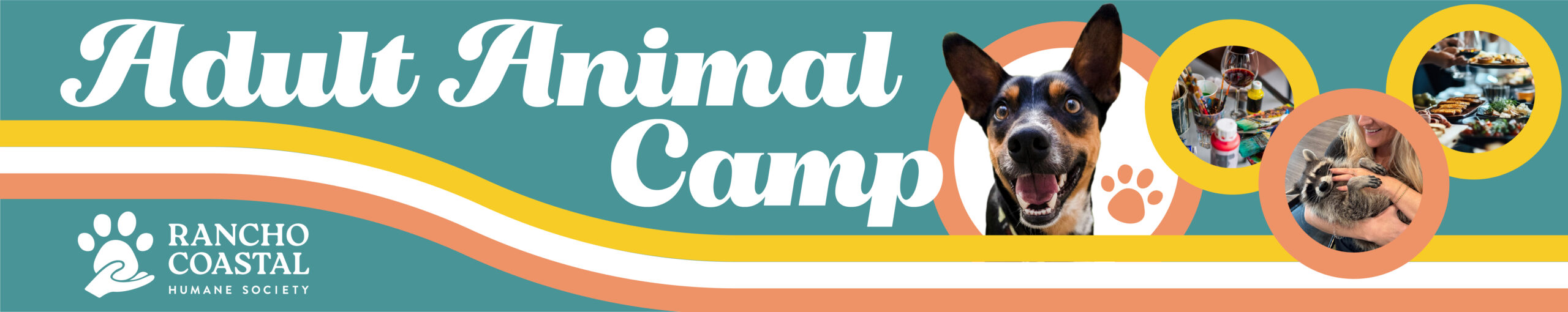 Adult Animal Camp - Webpage Banner-01