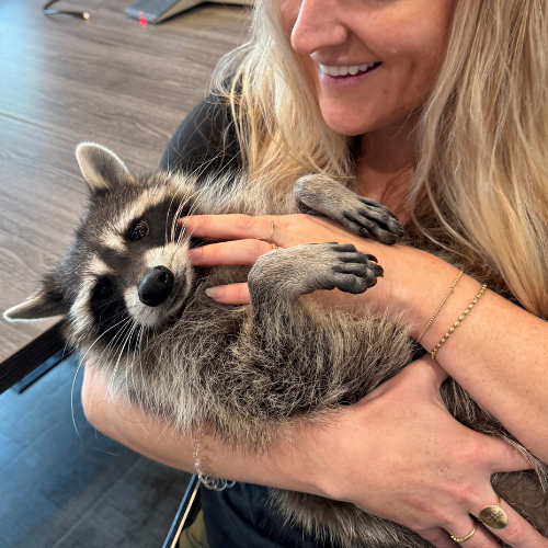 Stemless wine glass and paint included (plus some wine in a seoateate glass for drinking while pating