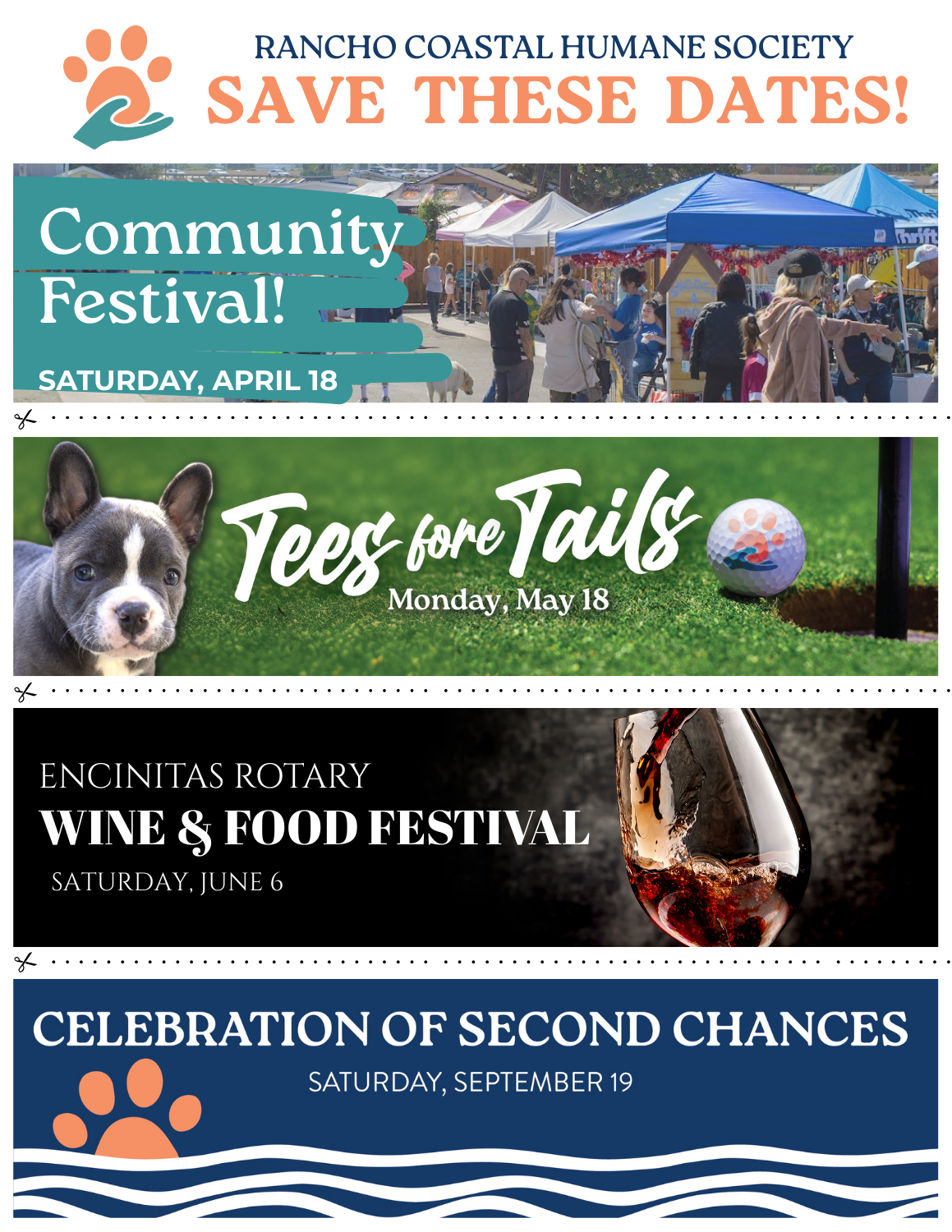 Community Festival! (4)