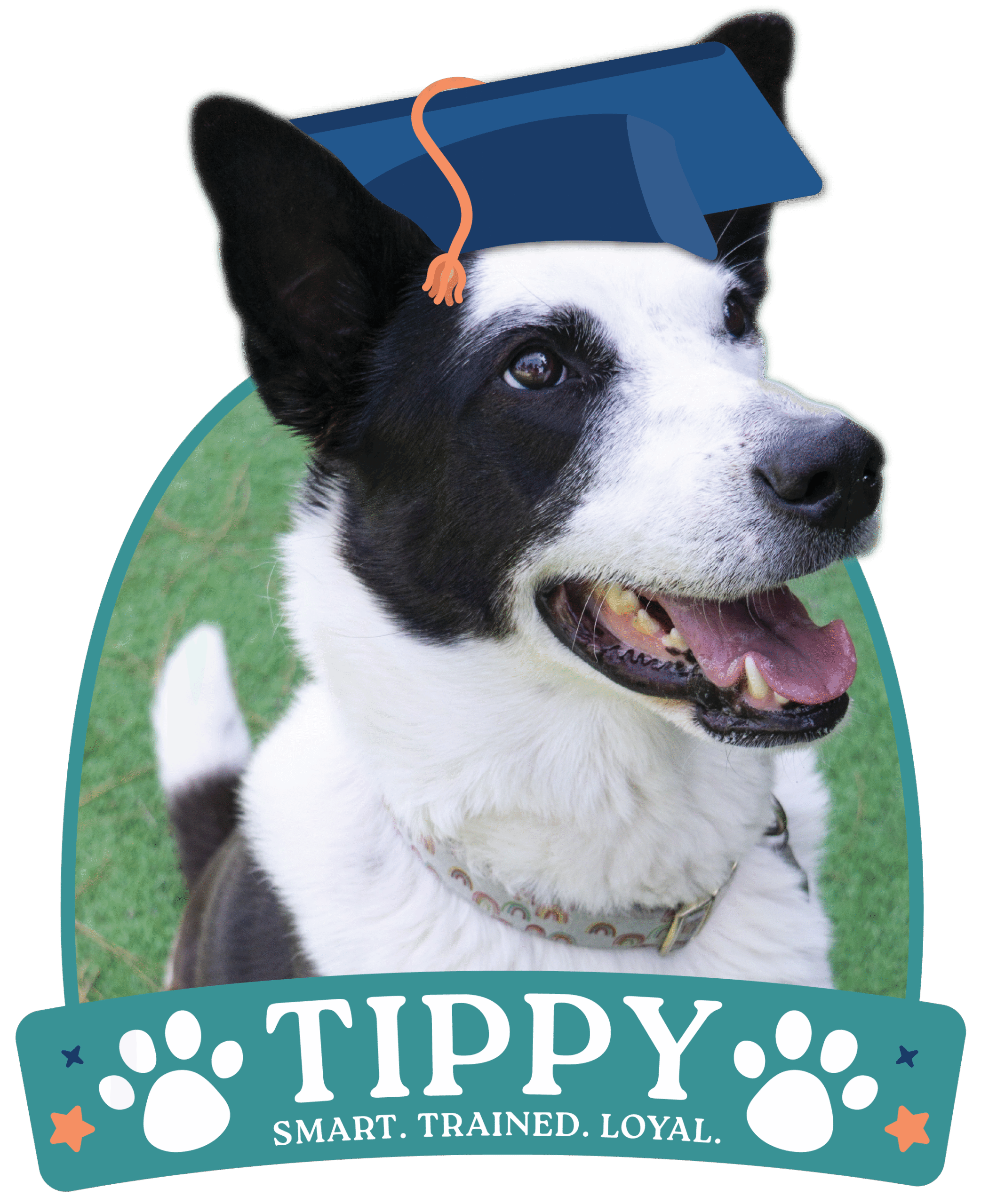 Tipperary Grad-03-1