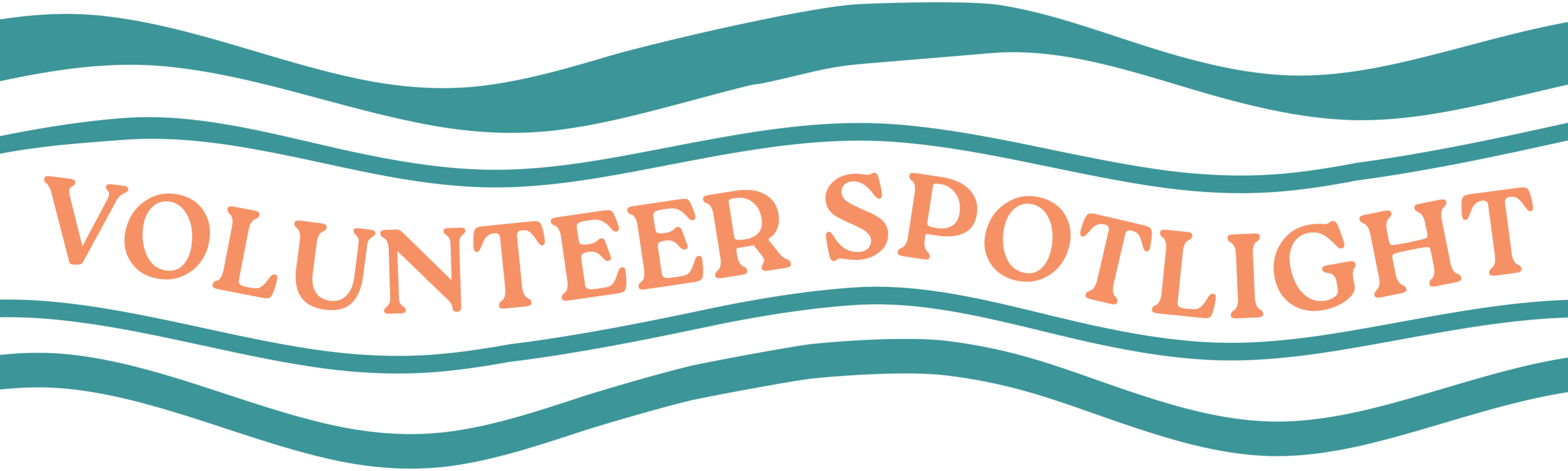 Volunteer Spotlight_Banner 2