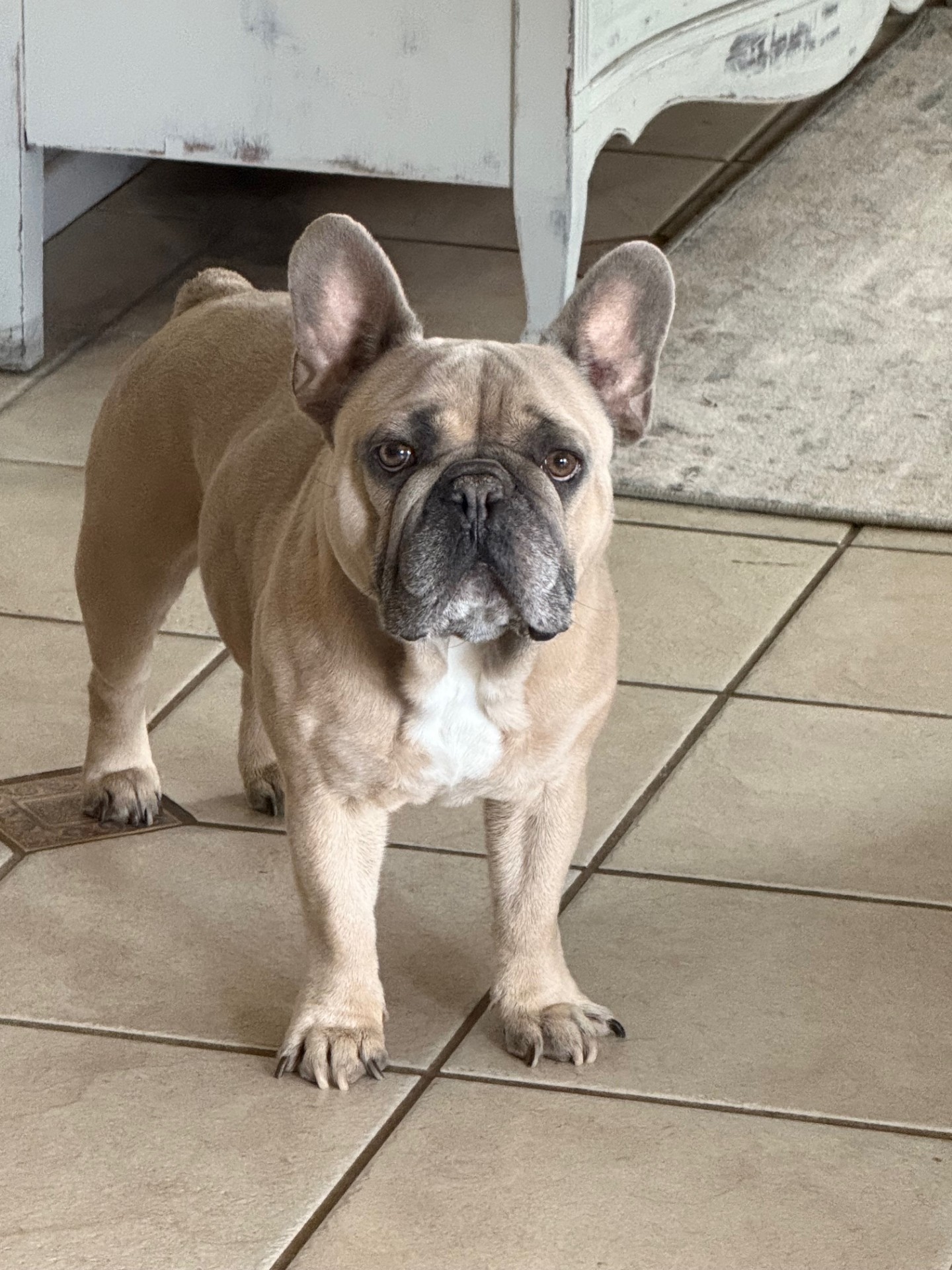 Hugo