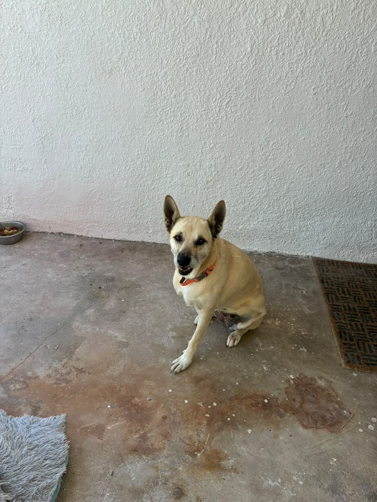 nelly3