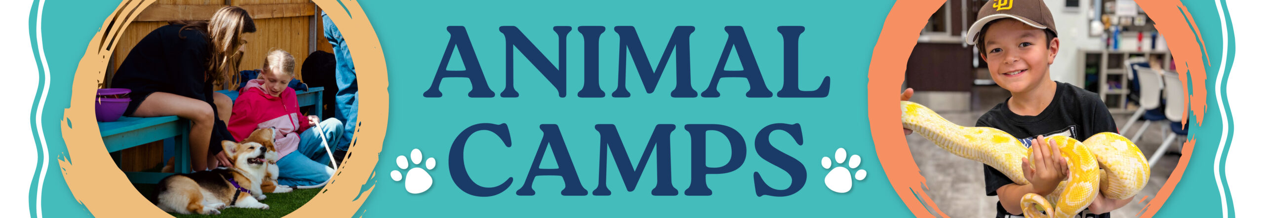 Animal Camp_Web Banner-01