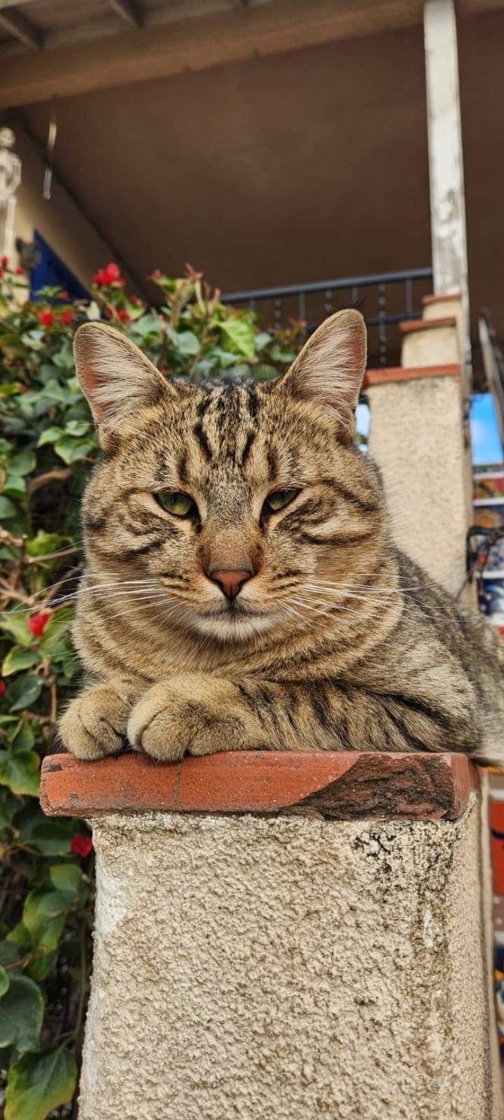 Facundo